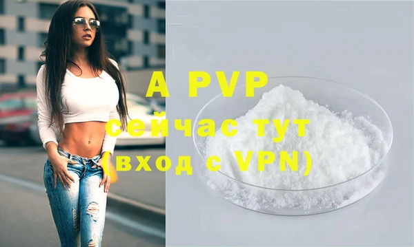 apvp Алзамай