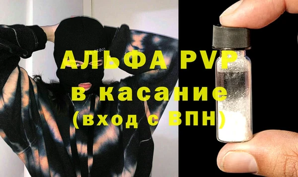 гашик Арсеньев