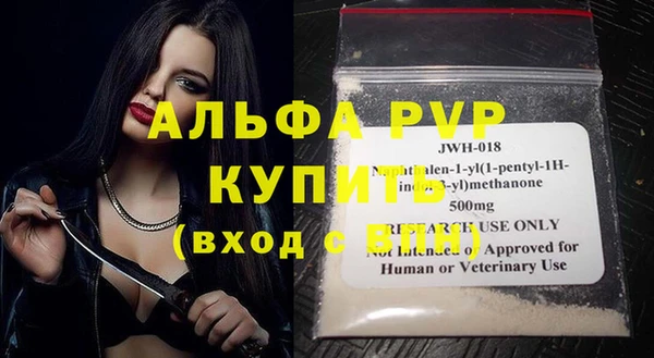гашик Арсеньев