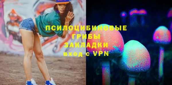 гашик Арсеньев