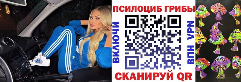 как найти   Чёрмоз  Галлюциногенные грибы Magic Shrooms 